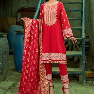 Pakistani 1 piece screen print kameez/Kurta FINAL PRICE